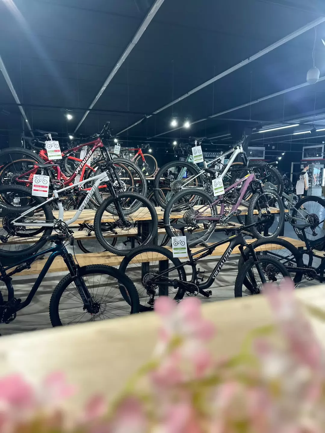 Velo34 / Specialized Béziers